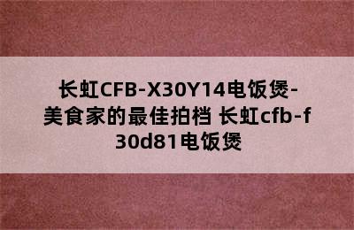 长虹CFB-X30Y14电饭煲-美食家的最佳拍档 长虹cfb-f30d81电饭煲